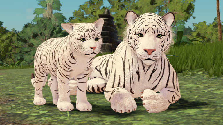 Jungle Life Codes